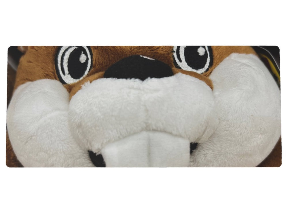 Custom XXL Speedmat - Custom Design Ref: RWVEDAE