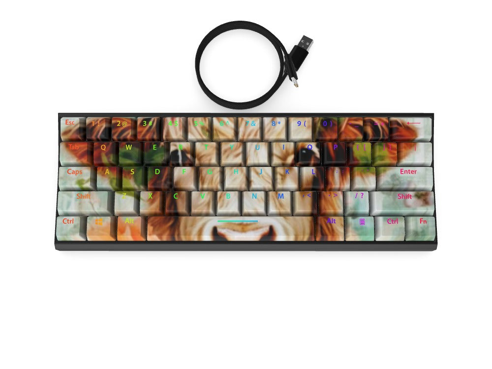 T60 Keyboard - Custom Design Ref: 4HYLVLY - [alt_customs]