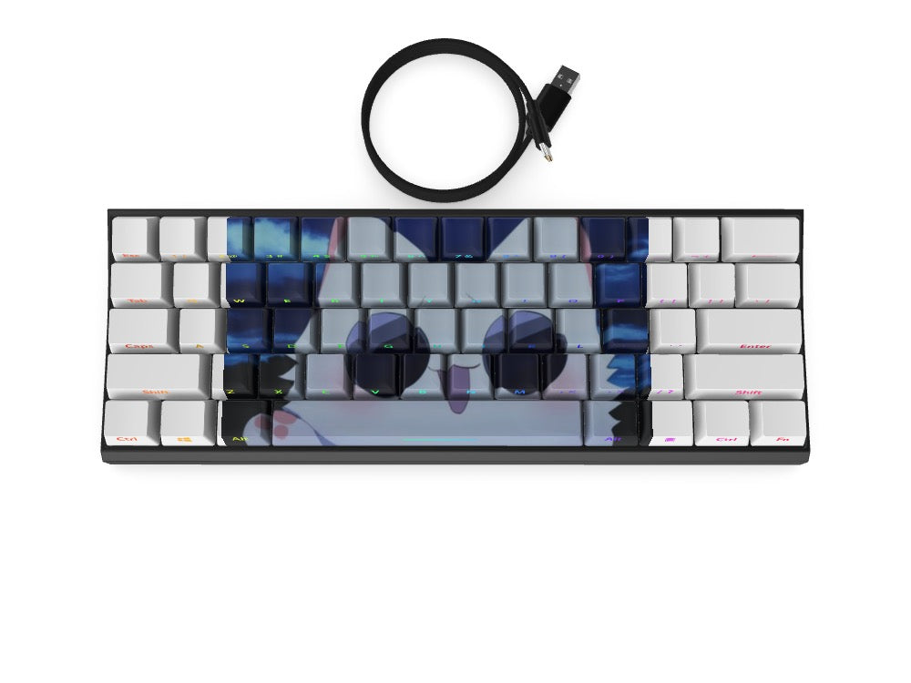 T60 Keyboard - Custom Design Ref: BXTOPR