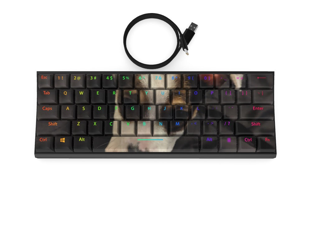 T60 Keyboard - Custom Design Ref: D9ZVNLU - [alt_customs]