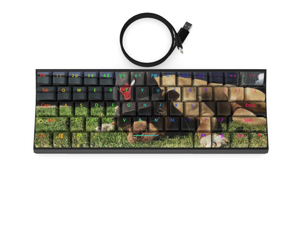 T60 Keyboard - Custom Design Ref: FMWMBY1 - [alt_customs]