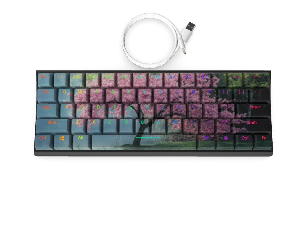 T60 Keyboard - Custom Design Ref: GWDDSJ2