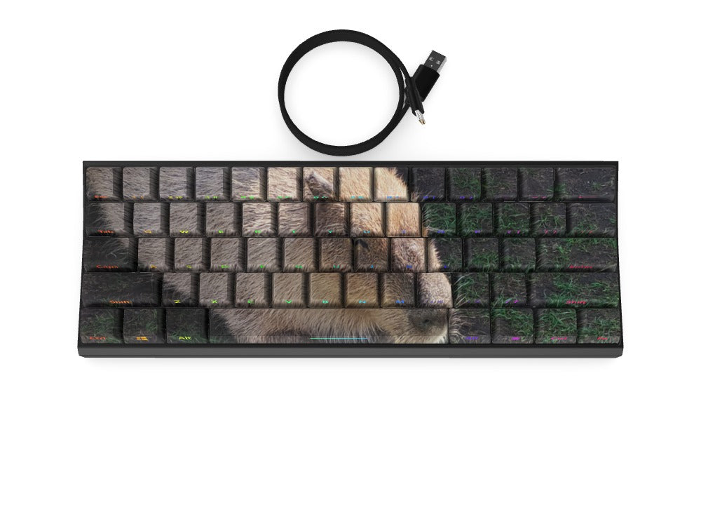 T60 Keyboard - Custom Design Ref: HSVQ4U