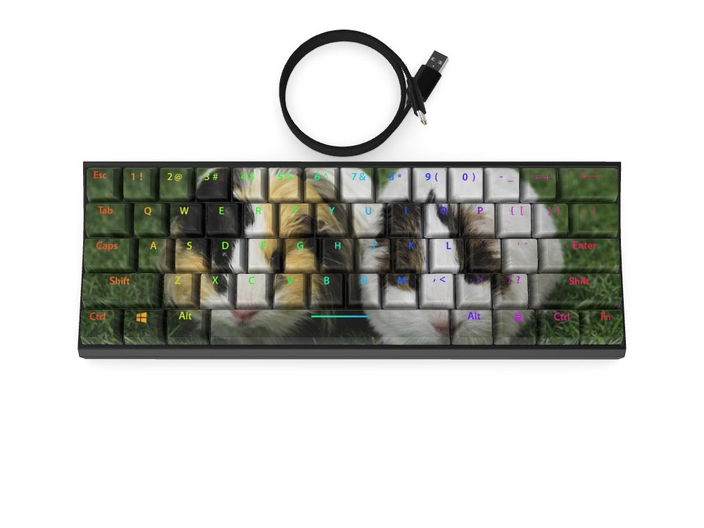 T60 Keyboard - Custom Design Ref: IELSFPZ - [alt_customs]