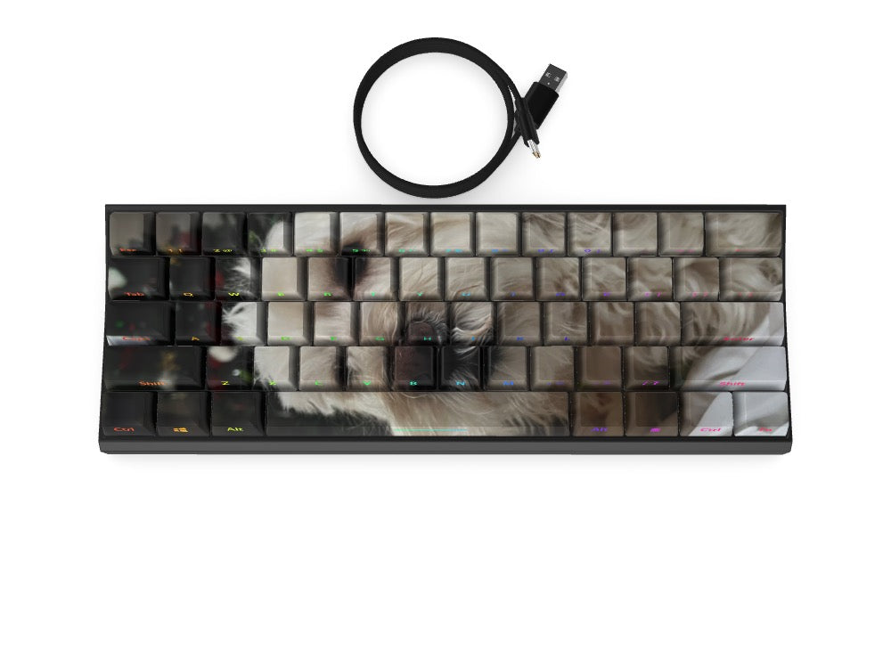 T60 Keyboard - Custom Design Ref: IZ77B6