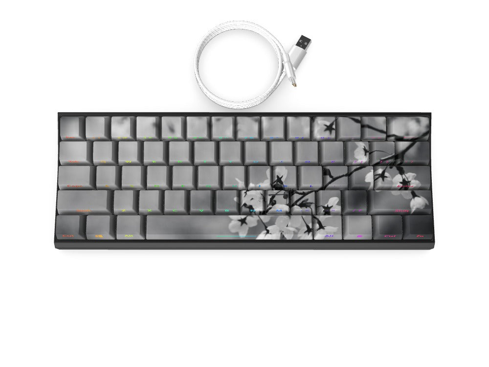 T60 Keyboard - Custom Design Ref: OMRGOU
