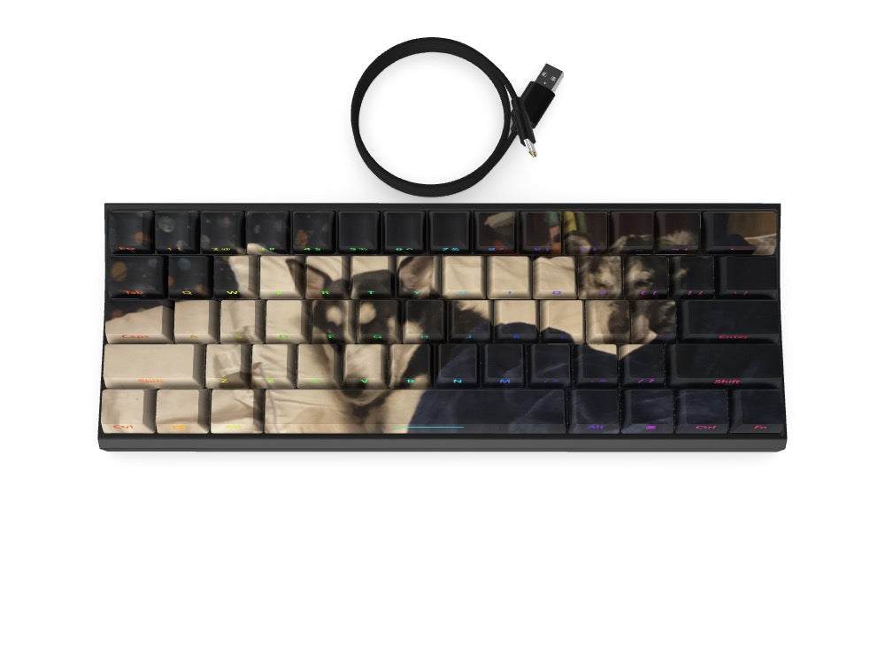 T60 Keyboard - Custom Design Ref: TSDGMR