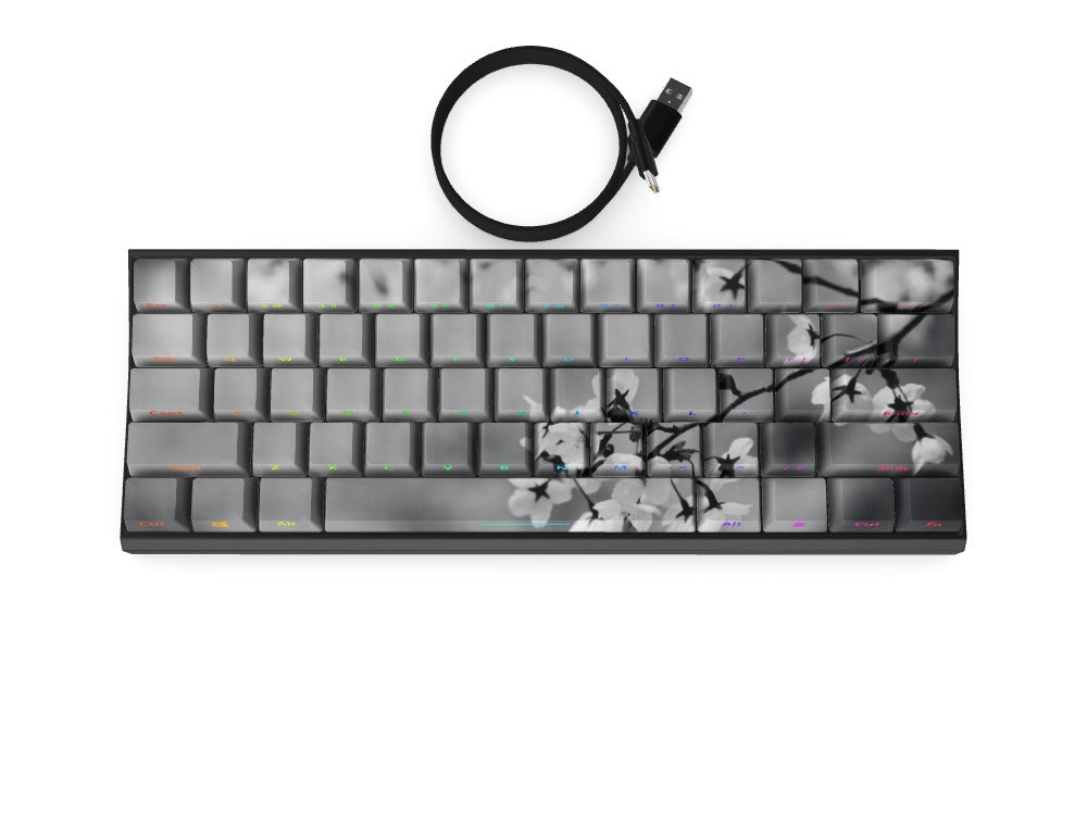 T60 Keyboard - Custom Design Ref: WNXYBR