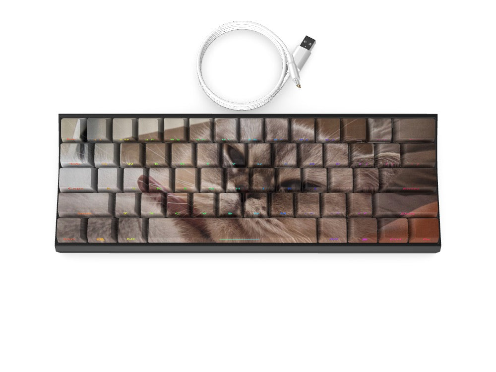 T60 Keyboard - Custom Design Ref: YYDTJN